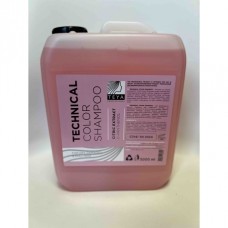 Шампунь для фарбованого волосся COLOR  TEYA  5л.