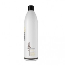 Шампунь Profi Style Argan Поживний для сухого волосся з маслом арганії 1000 мл Шампунь Profi Style Argan Поживний для сухого волосся з маслом арганії 1000 мл